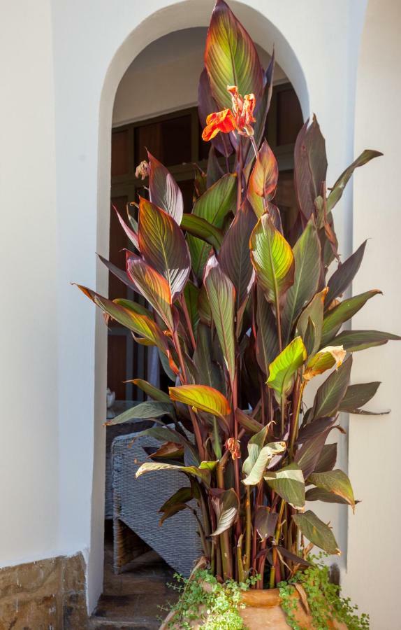 Amani Luxury Apartments Mombasa Kültér fotó